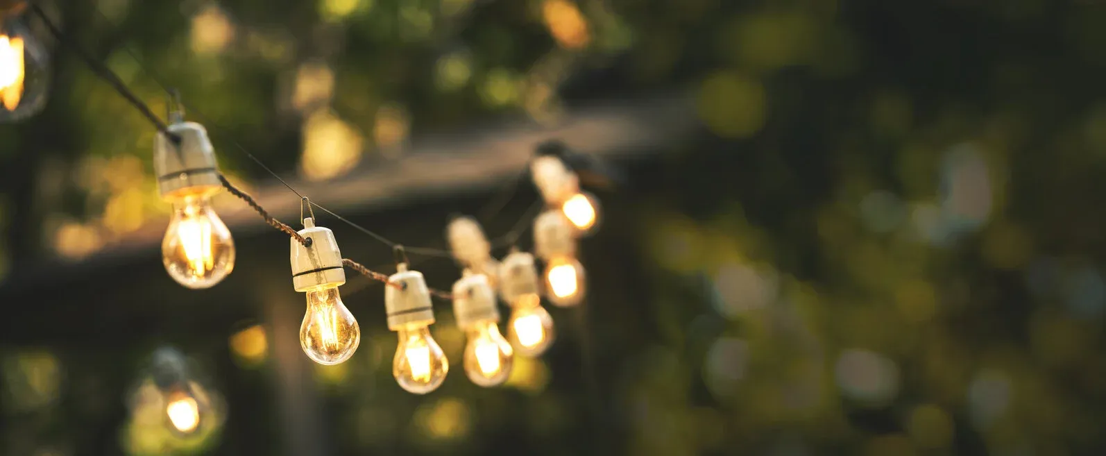 Warm festoon lights strung between trees at dusk